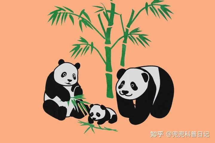 大熊猫为什么能成为国宝（大熊猫为什么能成为国宝?）