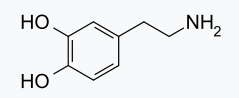「多巴胺」是一种什么物质，它是如何产生的，具体有什么功能和用途？（简述多巴胺的作用与用途有哪些）