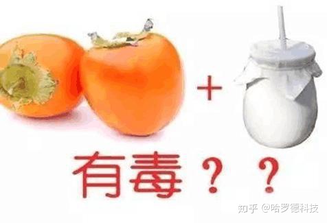 柿子可以和牛奶同吃吗？（柿子牛奶鸡蛋能一起吃吗）