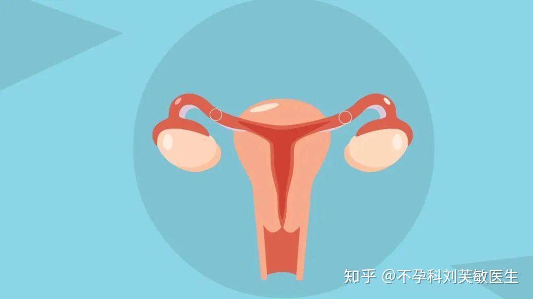 输卵管堵塞的初期症状，99%的女性都会忽视（输卵管堵塞有什么临床表现）
