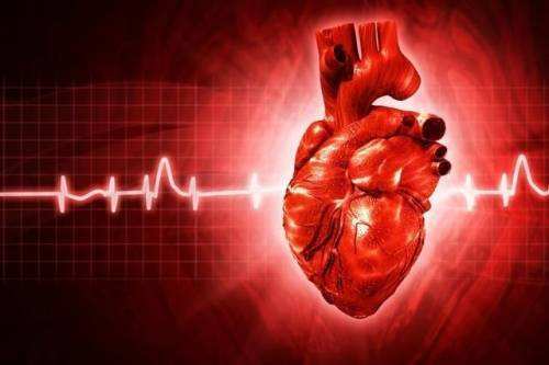 心律失常有什么症状表现  出现这几个异常要提高警惕（心律失常的症状表现）