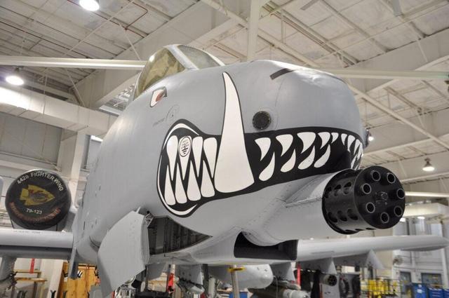 F-35绰号“黑豹”？美军战机还有这些鲜为人知的“内部”称呼（美国f35c战斗机）