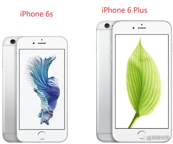 苹果iPhone6s和iPhone6Plus的区别是什么？（苹果x和苹果xs有什么区别）